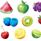Fruit Studies