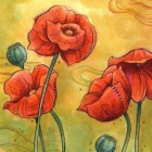 Summer Poppies